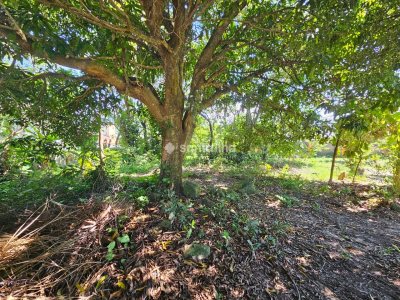 Terreno à venda com 407m², 1 vaga no bairro Rio Tavares em Florianópolis - Foto 9