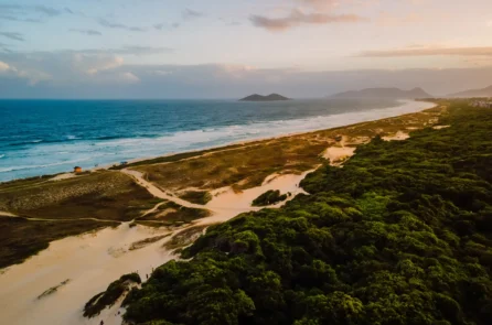 Rio Tavares: Conheça mais sobre esse lugar e sua história