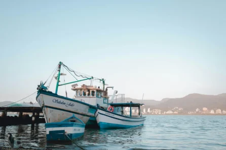 Como é morar no bairro Porto da Lagoa, em Florianópolis